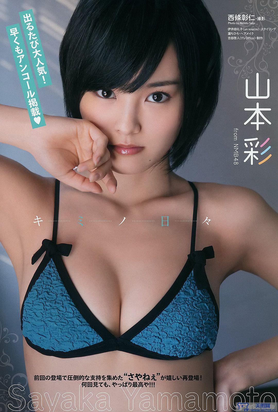 [Young Animal] 2014 No.06 星名美津紀 山本彩