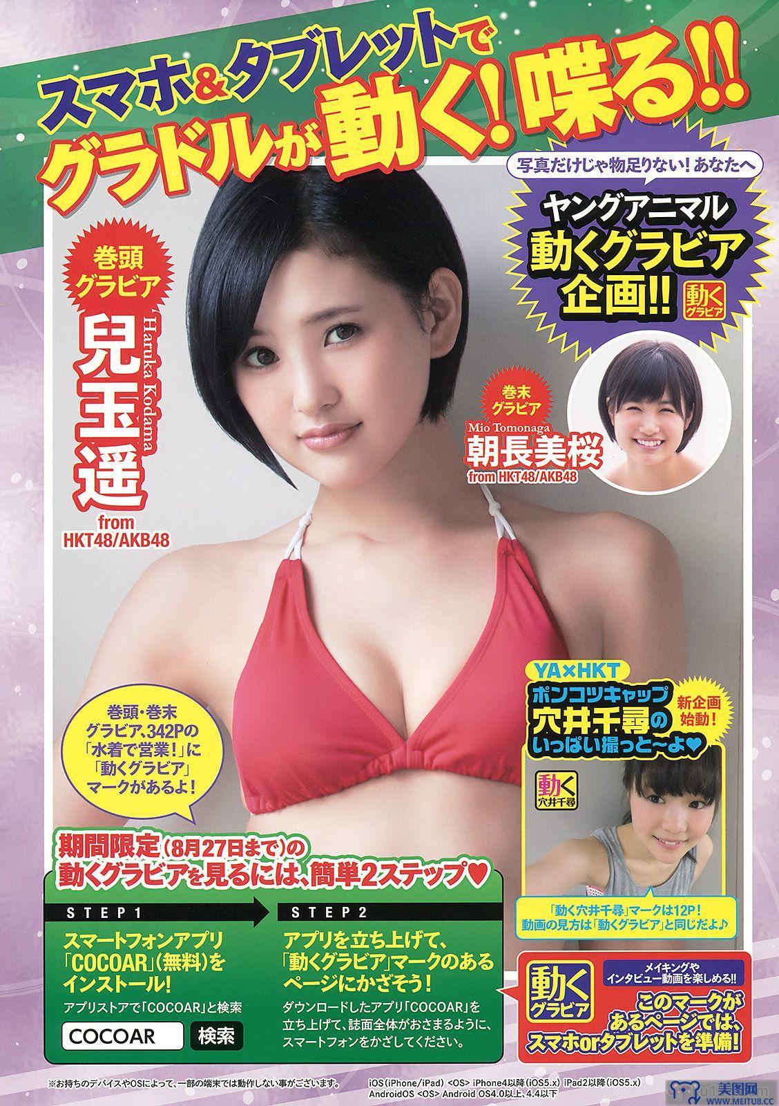 [Young Animal] 2015.08 No.16 兒玉遥 朝長美桜