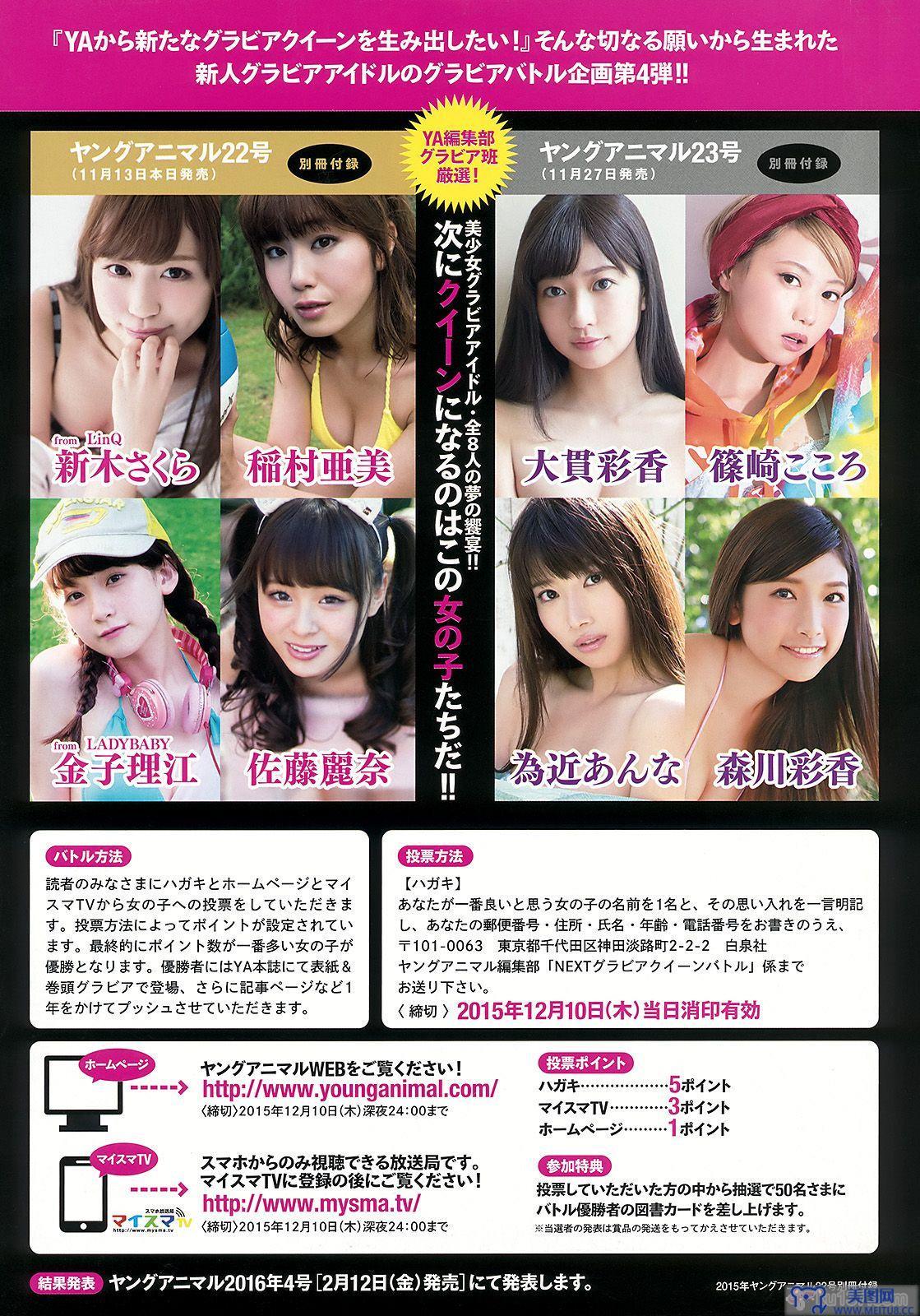 [Young Animal] 2015.11 No.22 石川恋 藤田美里 新木さくら 稲村亜美 金子理江 佐藤麗奈