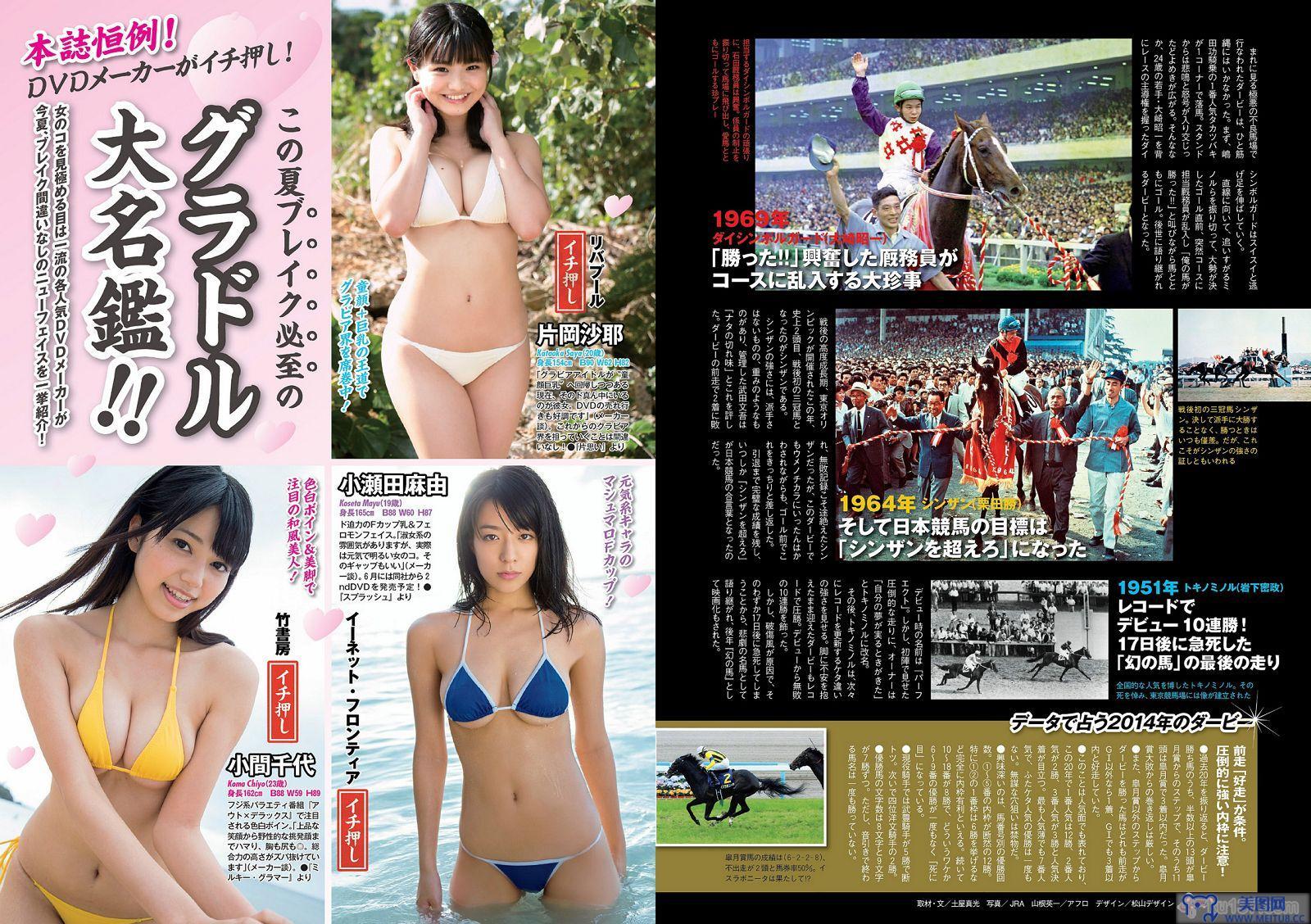 [Weekly Playboy] 2014 No.23 中村アン 吉住はるな 向井地美音 X21 小島瑠璃子 おかもとまり 橋本マナミ 青山ひかる 阿部乃みく 横山美雪