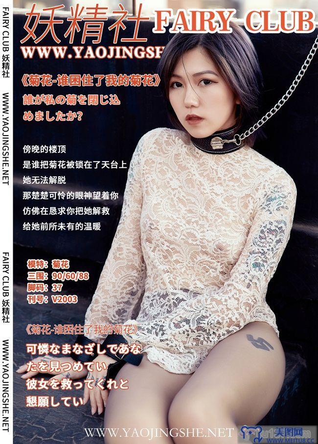 [YJS妖精社] 2020.01.15 Vol.008 菊花 谁困住了我的菊花