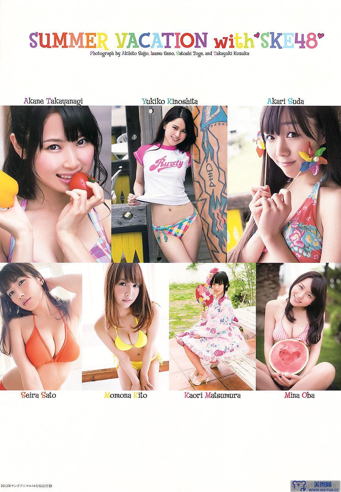 [Young Animal] 2013 No.86 SKE48