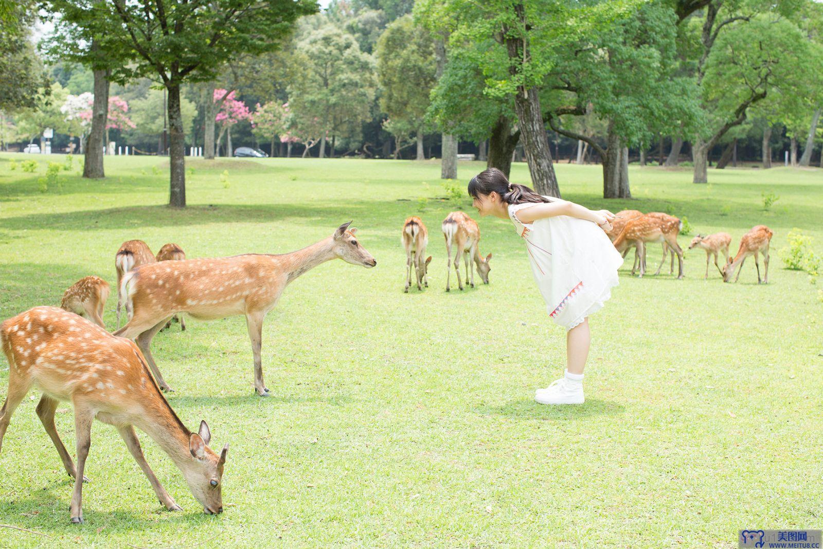 [Hello! Project Digital Books]No.120 Riho Sayashi 鞘師里保 vol.2