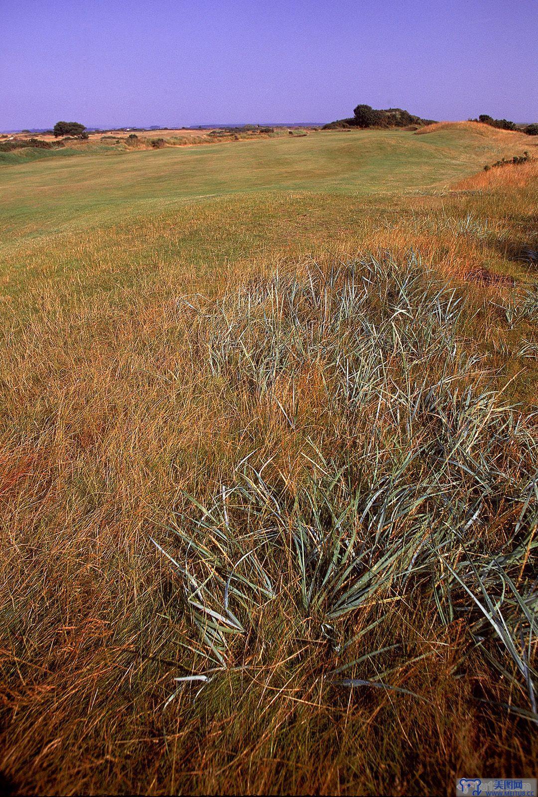 [NS Eyes写真套图]2005.07.08 SF-No.325 THE OPEN 2005 St.Andrews-GOLF!