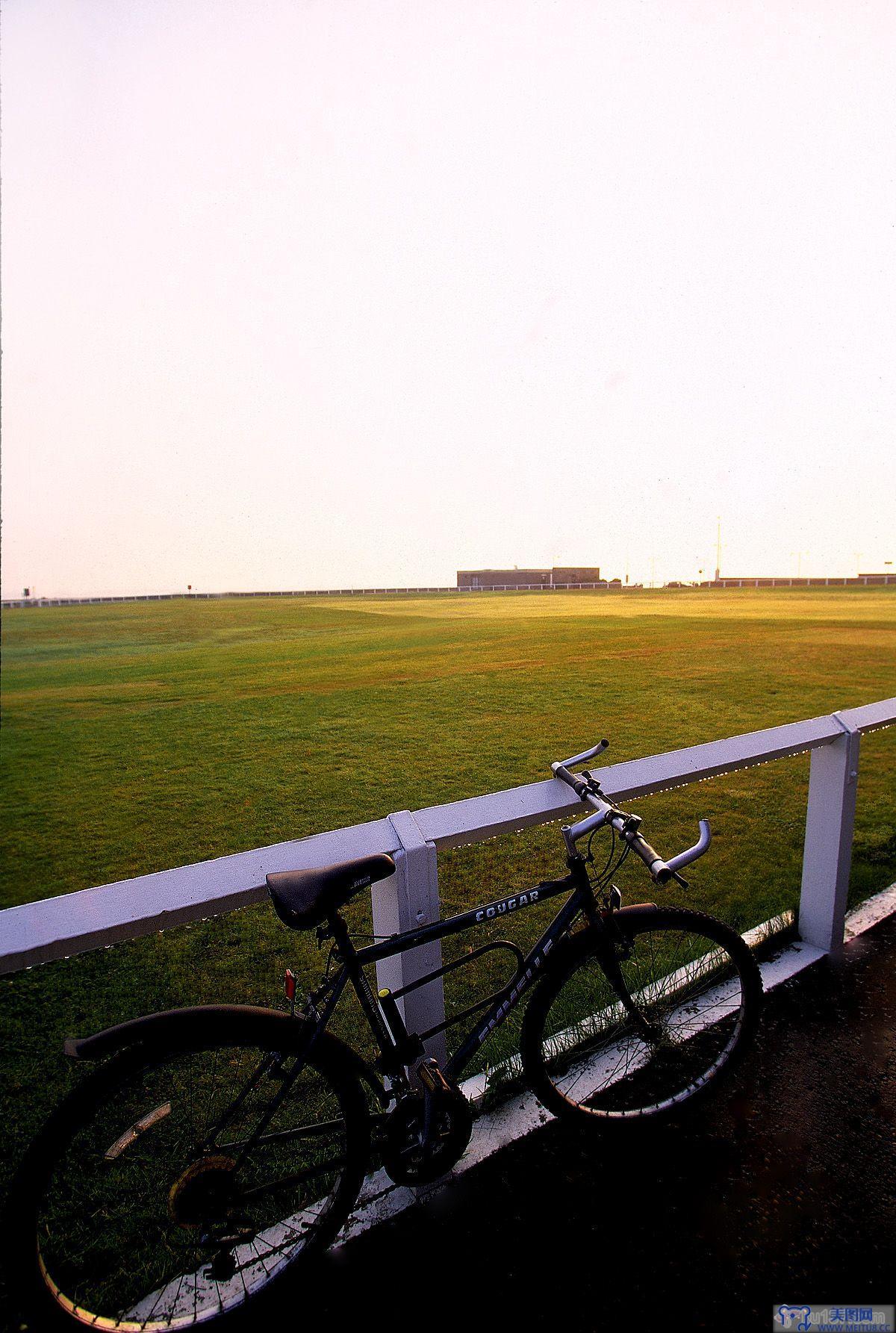 [NS Eyes写真套图]2005.07.08 SF-No.325 THE OPEN 2005 St.Andrews-GOLF!