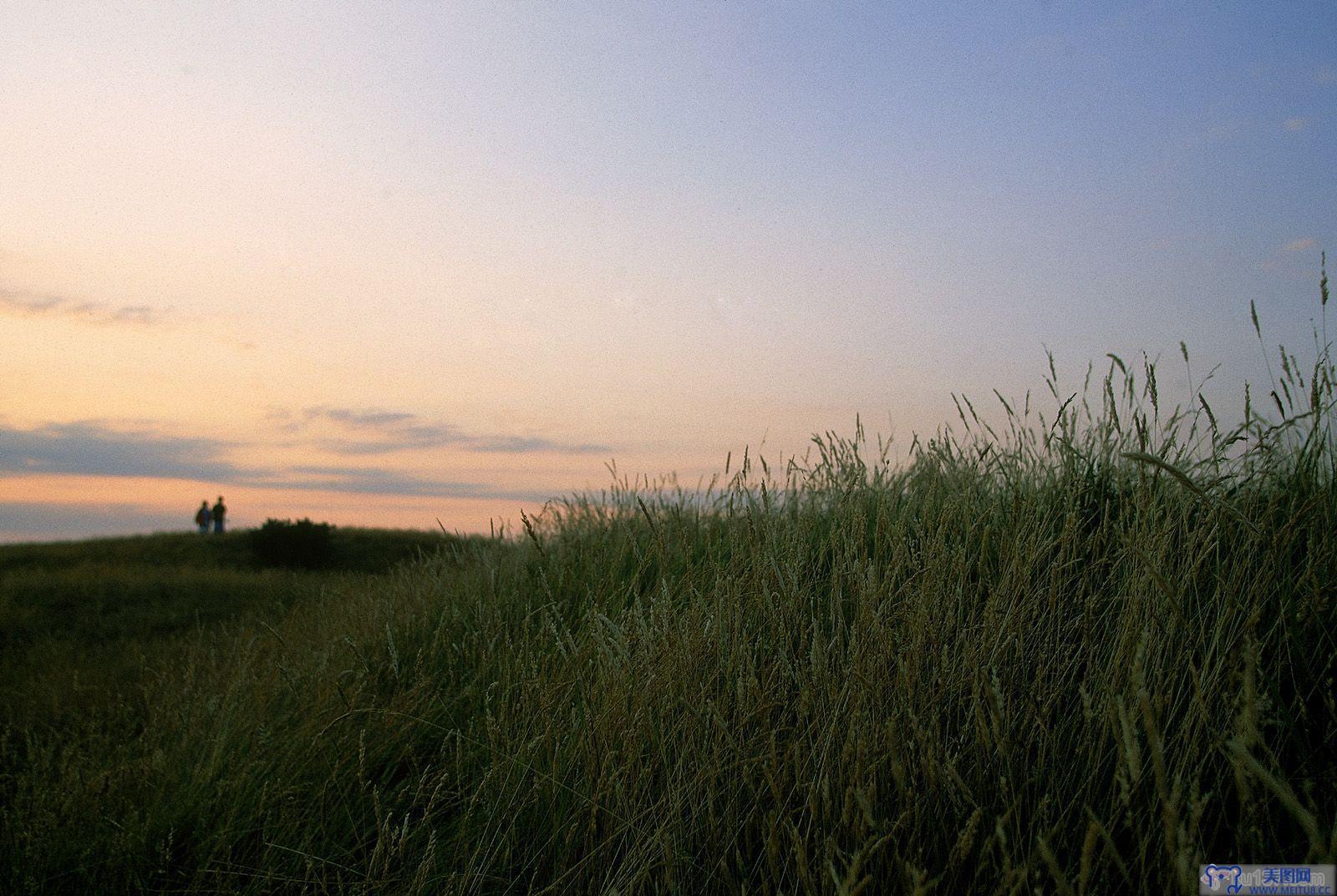 [NS Eyes写真套图]2005.07.08 SF-No.325 THE OPEN 2005 St.Andrews-GOLF!